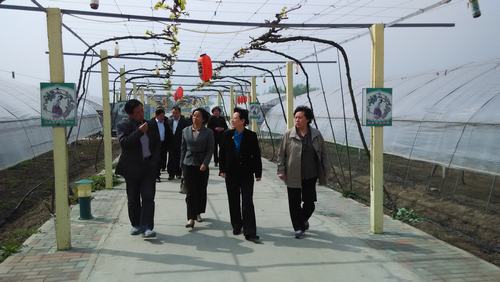 扬州市残疾人福利基金会